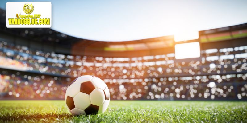 Các loại cá cược SBOBET Vando88 đang sở hữu