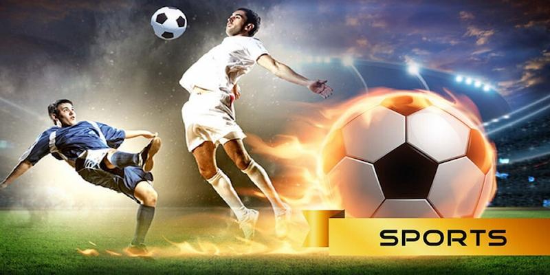 So sánh các trang cá cược: Đâu là lựa chọn tốt nhất cho bạn?