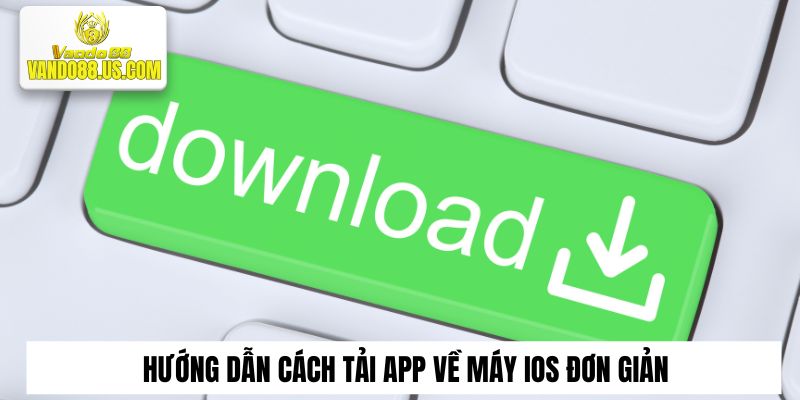 Hướng dẫn cách tải app về máy IOS đơn giản