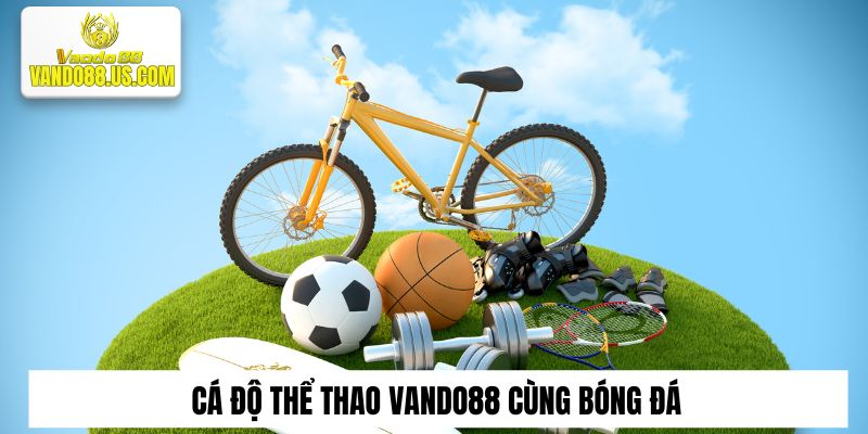 Cá độ thể thao Vando88 cùng bóng đá – Thể thao vua