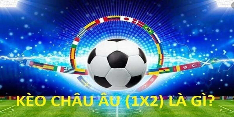 Đọc cược châu âu tại nhà cái Vando88
